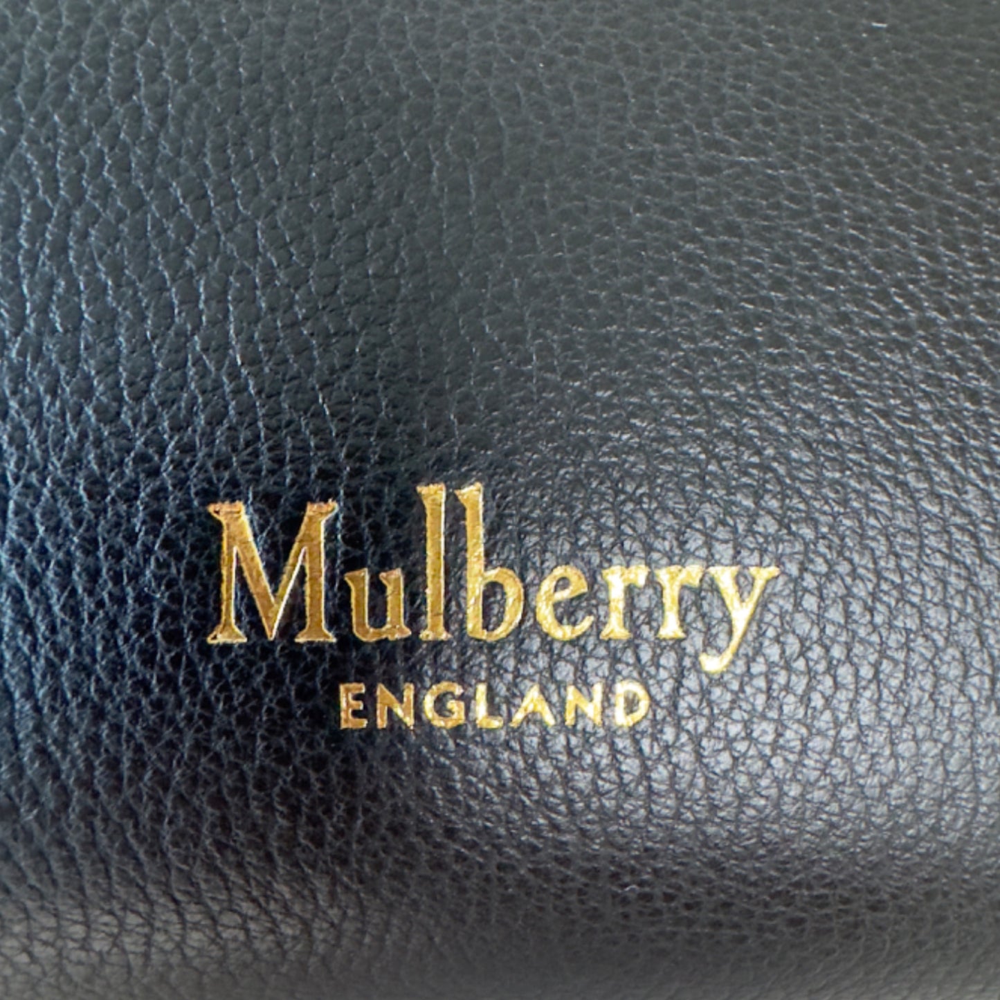 Mulberry Iris Mini